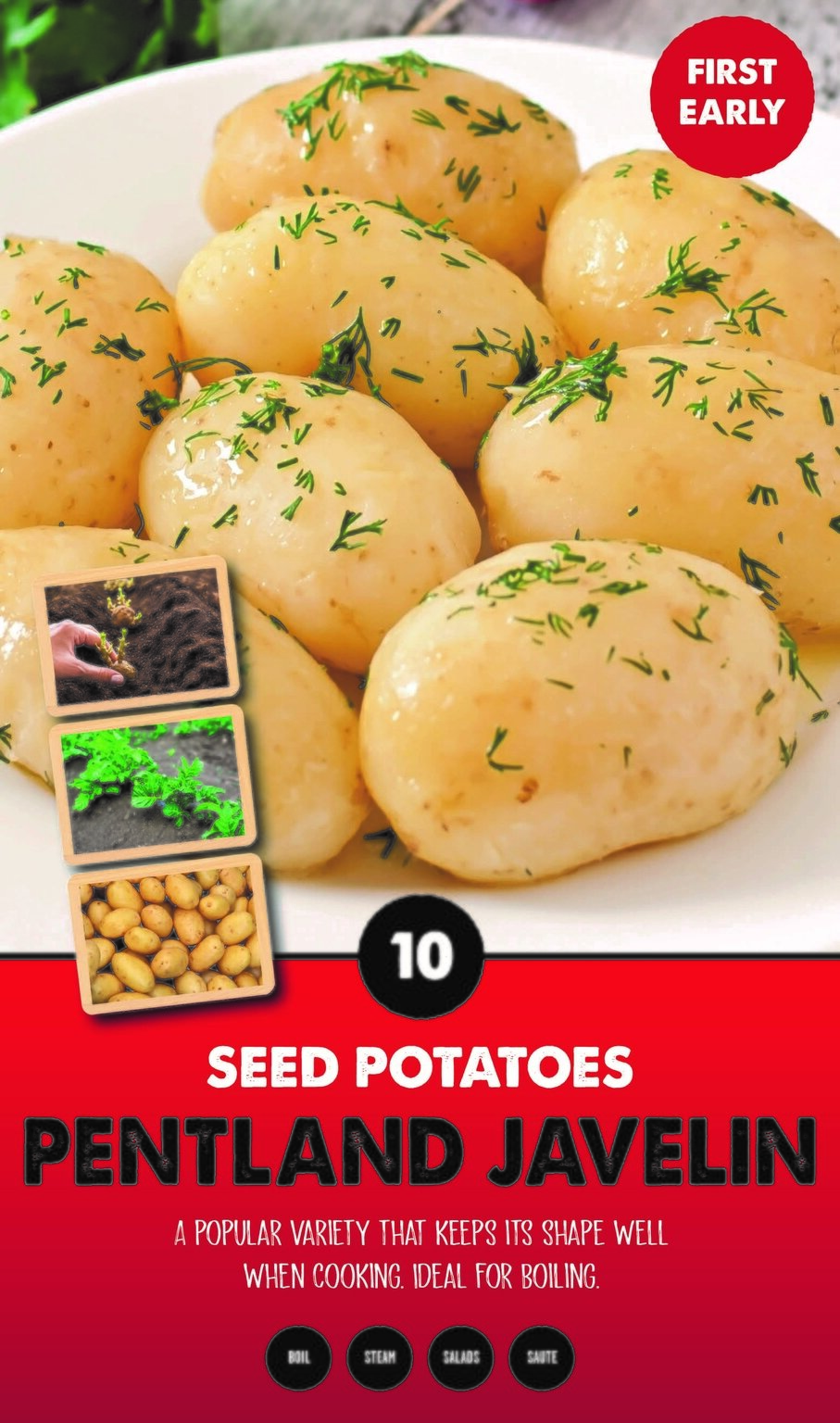 Seed Potatoes (Pentland Javelin) Stewarts Garden Centre