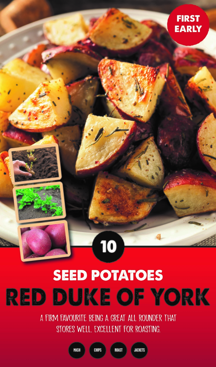 Seed Potatoes (Red Duke of York) Stewarts Garden Centre