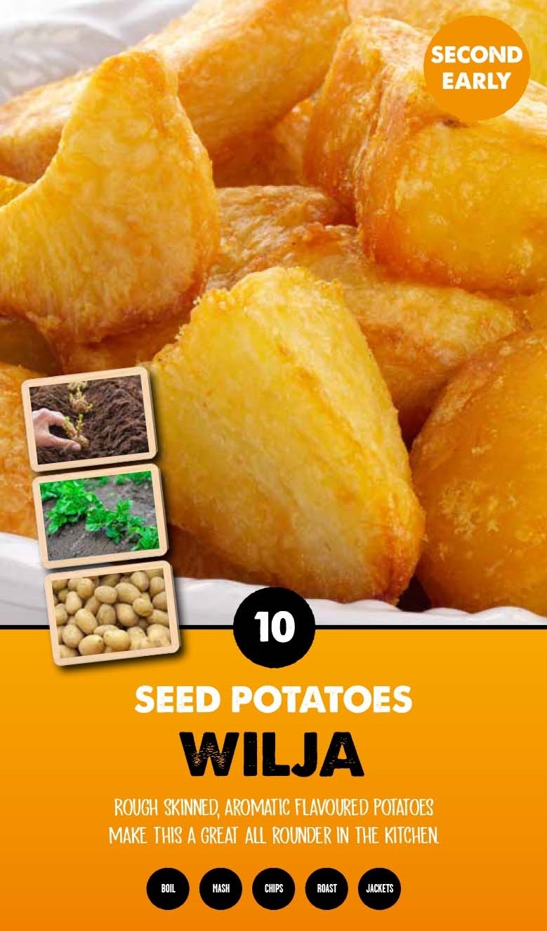Seed Potatoes (Wilja) Stewarts Garden Centre