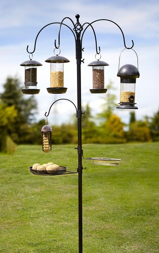 Select Bird Station - image 1
