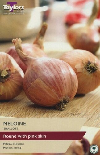 Shallot French Meloine