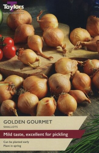 Shallot Golden Gourmet