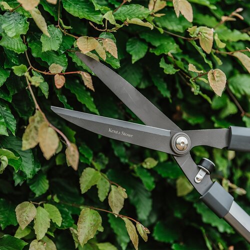 Traditional Hedge Shear - image 2