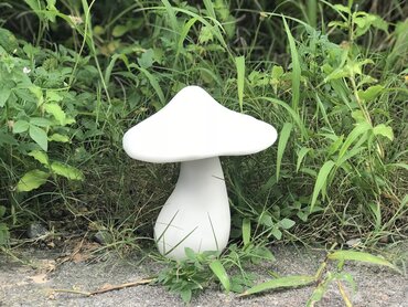 Single Toadstool Small White