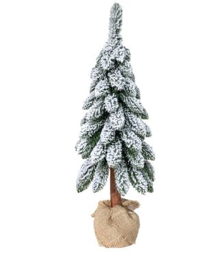  - image 1