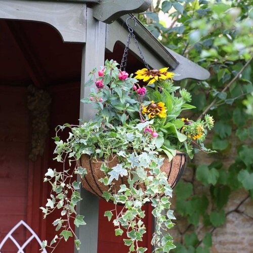 Smart Hanging Basket 14" - image 2