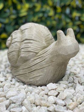 Snail Sherwood - image 1