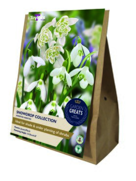 Snowdrop Collection