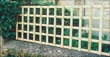 Softwood Trellis (Square, 6'x2')