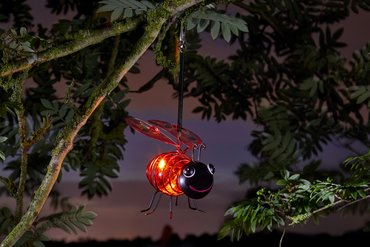 Solar Bug Light Ladybird - image 1