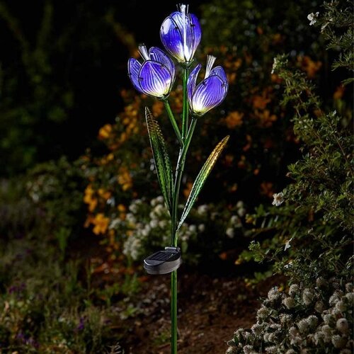 Solar Flower Crocus - image 1