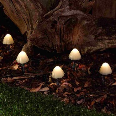 Solar Forest Mushroom Lights S/12 - image 1