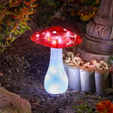 Solar Magic Mushroom