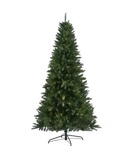 Somerset Spruce - image 2