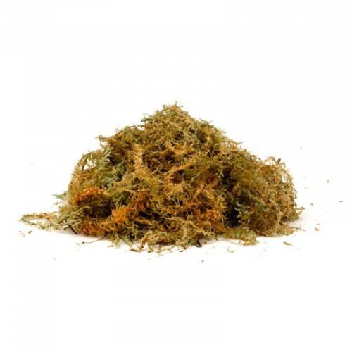 Spaghum Moss Large