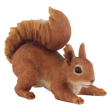 Squirrel 1 Resin