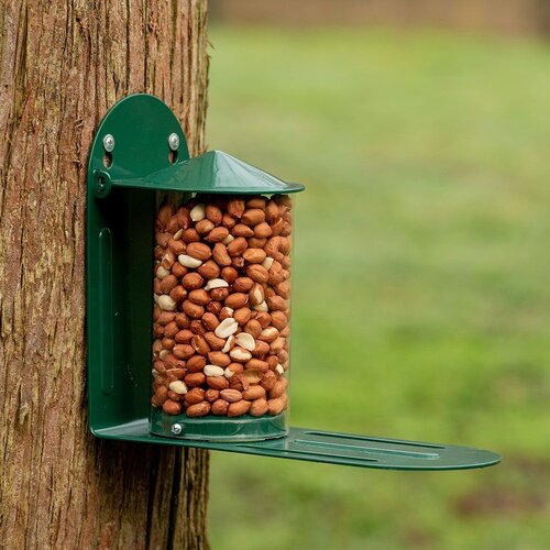 Squirrel Feeder Green Metal National Trust - image 1