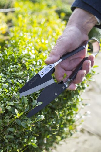 S/S Topiary Shear Small - image 2