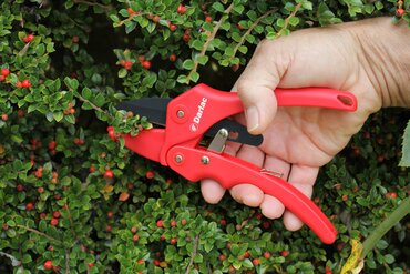 Std Ratchet Pruner - image 3