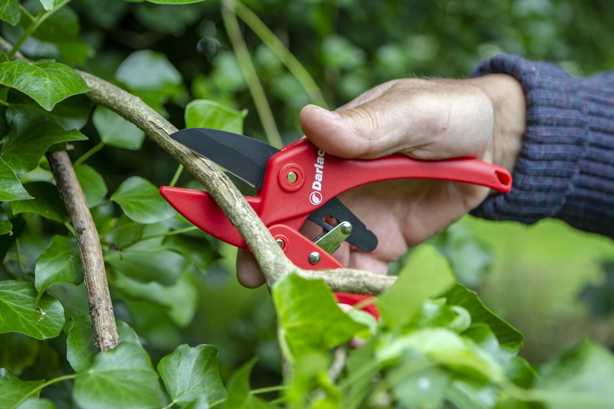 Standard Ratchet Pruner Stewarts Garden Centre