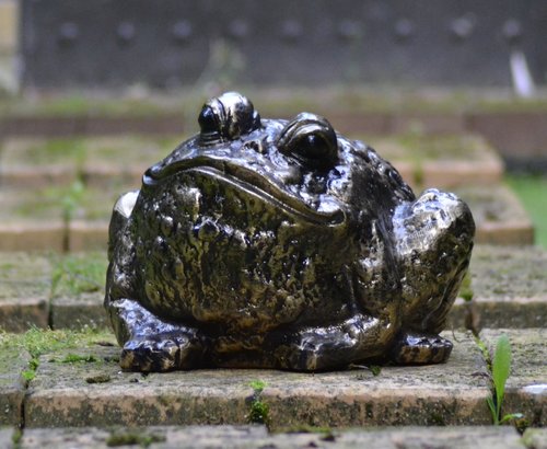 Statue Bull Frog