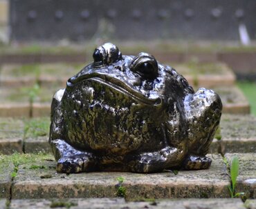 Statue Bull Frog