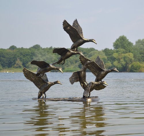Statue Ducks Flying