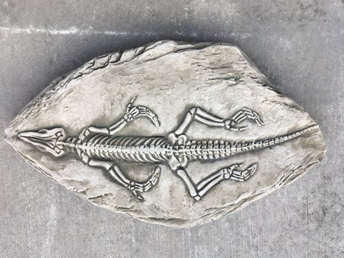 Stepping Stone Fossilized Crocodile - image 1