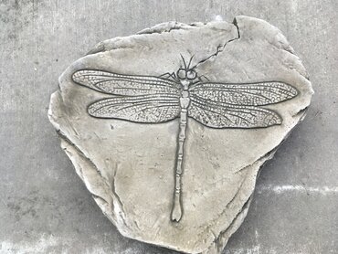 Stepping Stone Fossilized Dragonfly - image 1