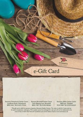 Stewarts Electronic Gift Card