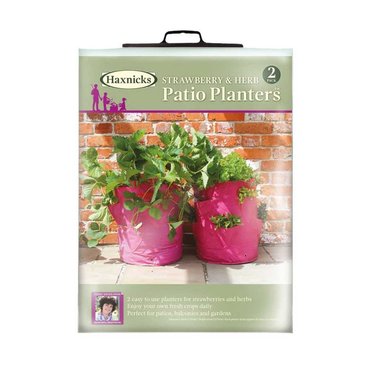 Strawberry & Herb Patio Planter x 2 - image 2