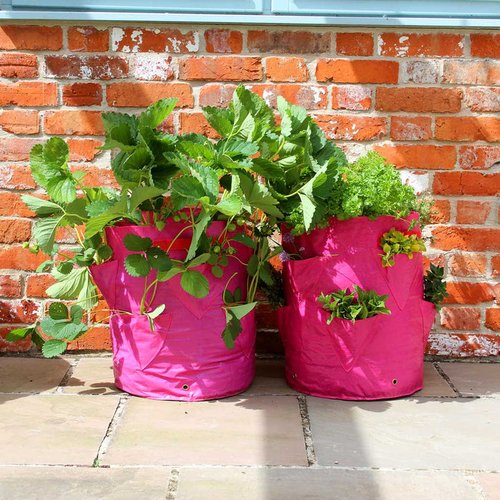 Strawberry & Herb Patio Planter x 2 - image 3