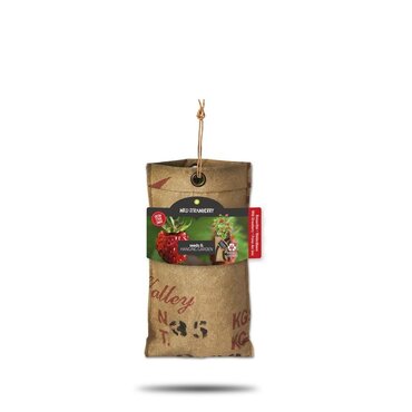 Hanging Garden - Organic Strawberry Seed Planter