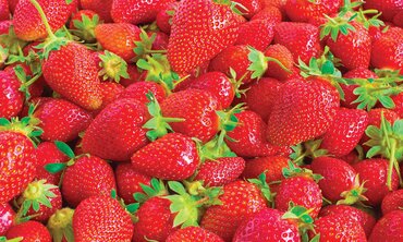 Strawberry Summer Breeze Snow 2 Litre - image 2