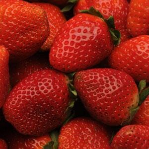 Strawberry Supreme Hanging Basket