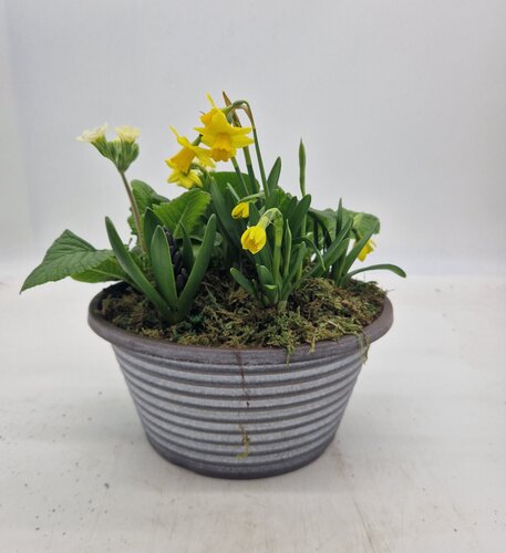 Striation Bowl Planter 30cm
