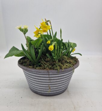Striation Bowl Planter 30cm
