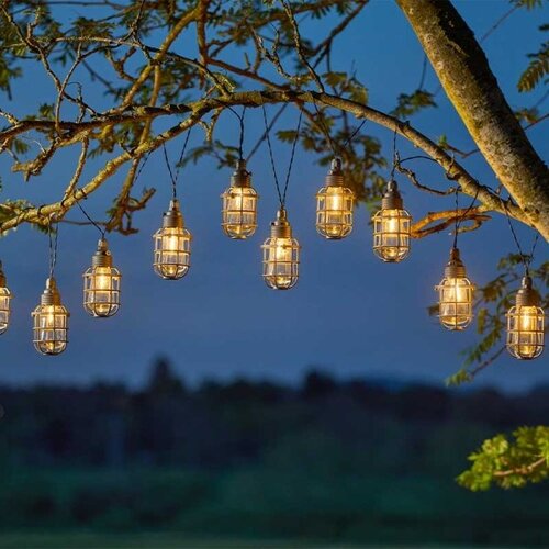 String Lights Anglia 365 Set of 10 20L