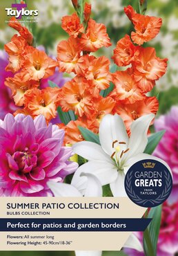 Summer Patio Collection