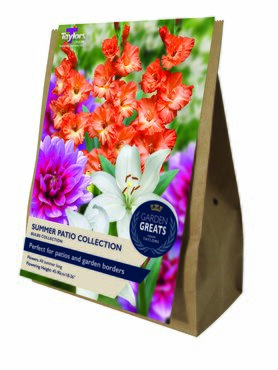 Summer Patio Collection - image 2