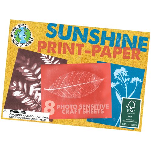 Sunshine Print-Paper Kit - image 1