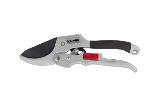 Super Classic Ratchet - image 1