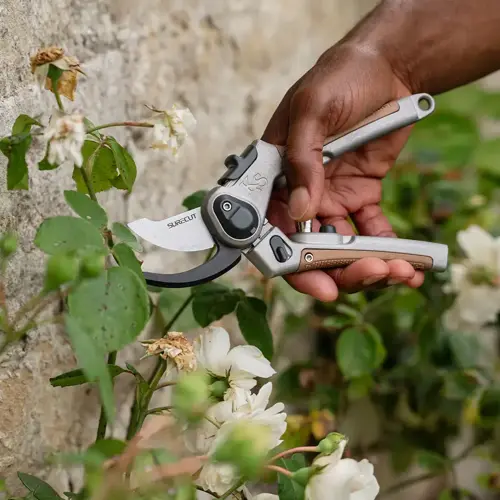 K/S Surecut A/P Lite Bypass Secateurs - image 2