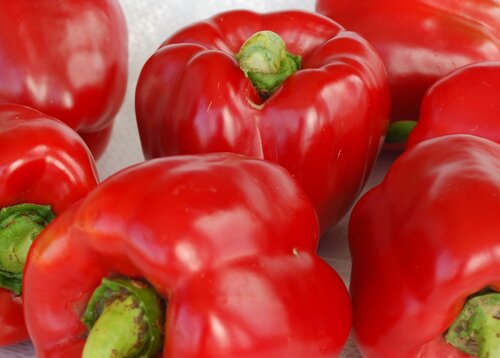 Sweet Pepper Red 9cm