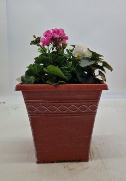 Tall Square Planter 25cm