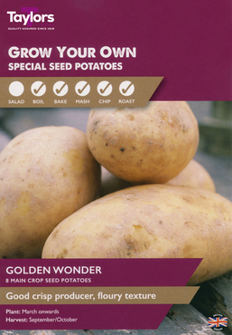 Taster Pack Golden Wonder