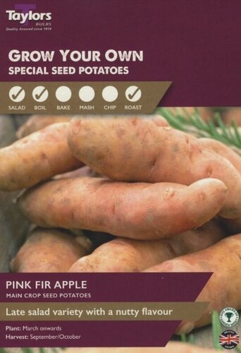 Taster Pack Pink Fir Apple
