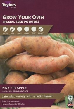Taster Pack Pink Fir Apple