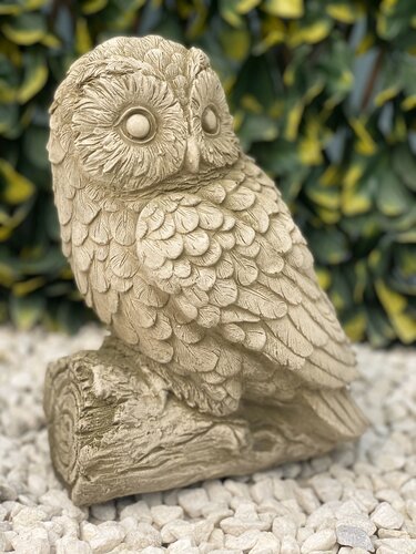 Tawny Owl Med Sherwood