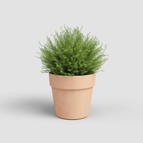 Terracotta Planter Amalia Antique 31cm - image 2